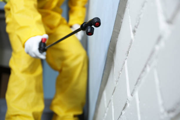 Best Pest Prevention Services  in Federal Heights, CO